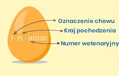 Czy wiesz że numer nadrukowany na jajku to…